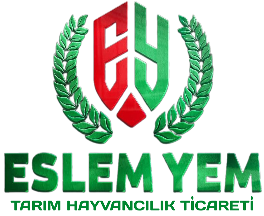 Mağazamız Kısa Bir Süre Bakıma Alınmıştır..