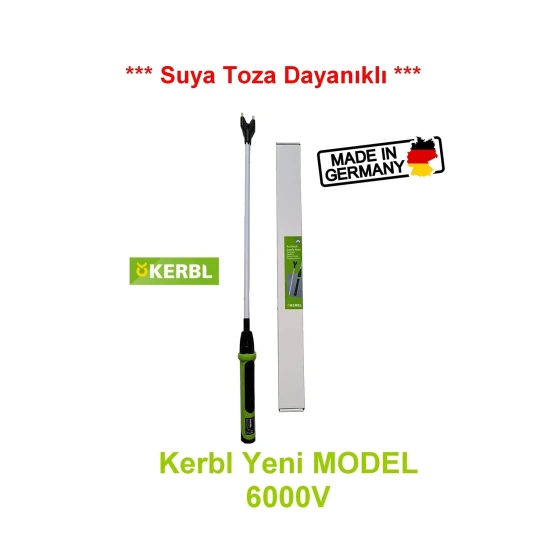Text